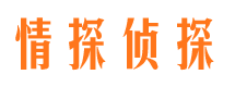 巴楚侦探公司